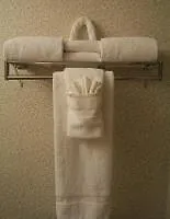 Hampton Inn St Louis- At The Arch Saint Louis Hotel